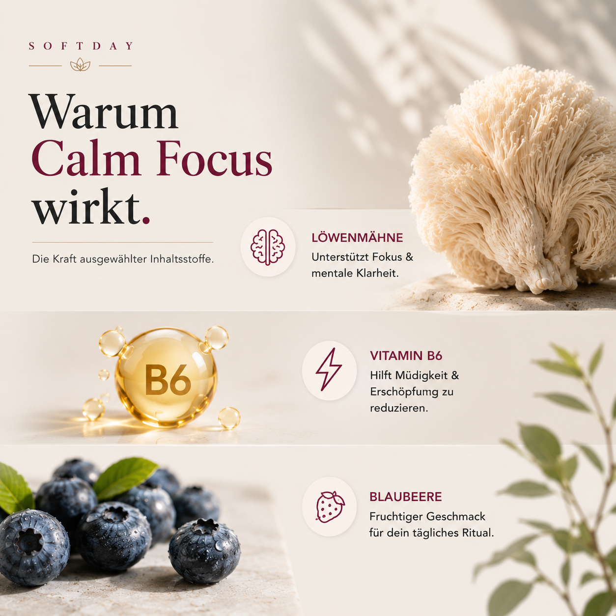 Löwenmähne + Vitamin B6 Gummies - 60 Stk.