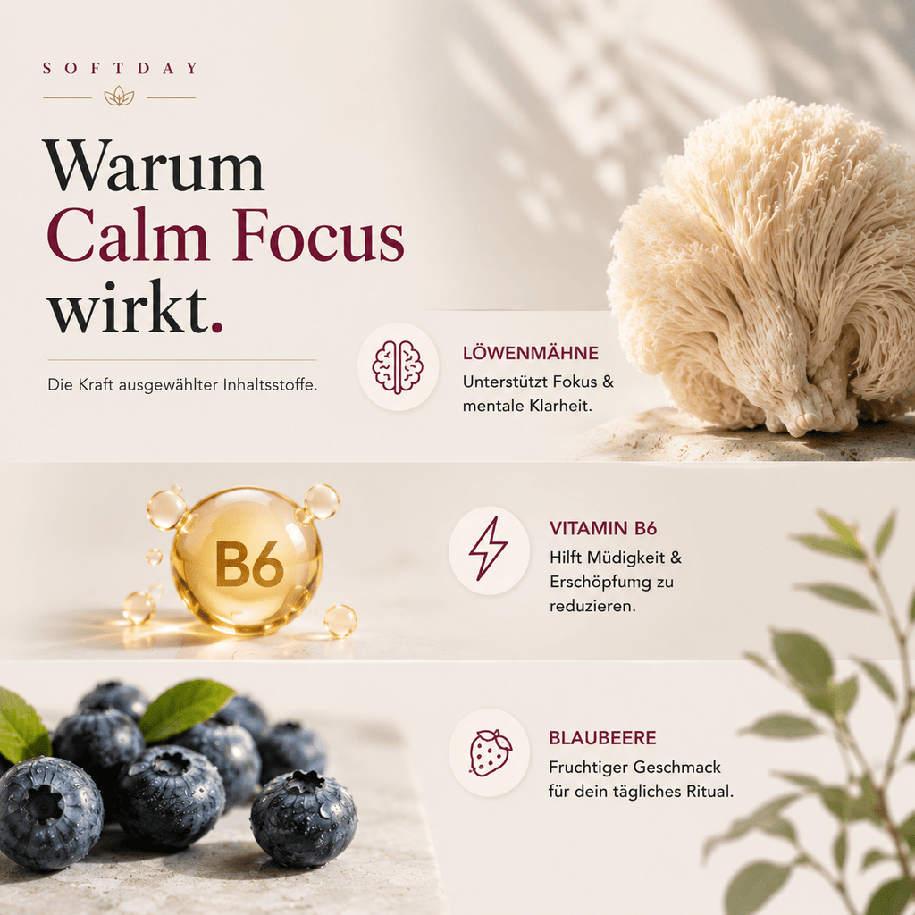 Infografik zu den Inhaltsstoffen: Löwenmähnen-Extrakt und Vitamin B6 im Überblick