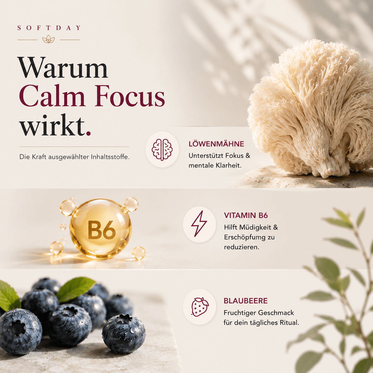 Infografik zu den Inhaltsstoffen: Löwenmähnen-Extrakt und Vitamin B6 im Überblick