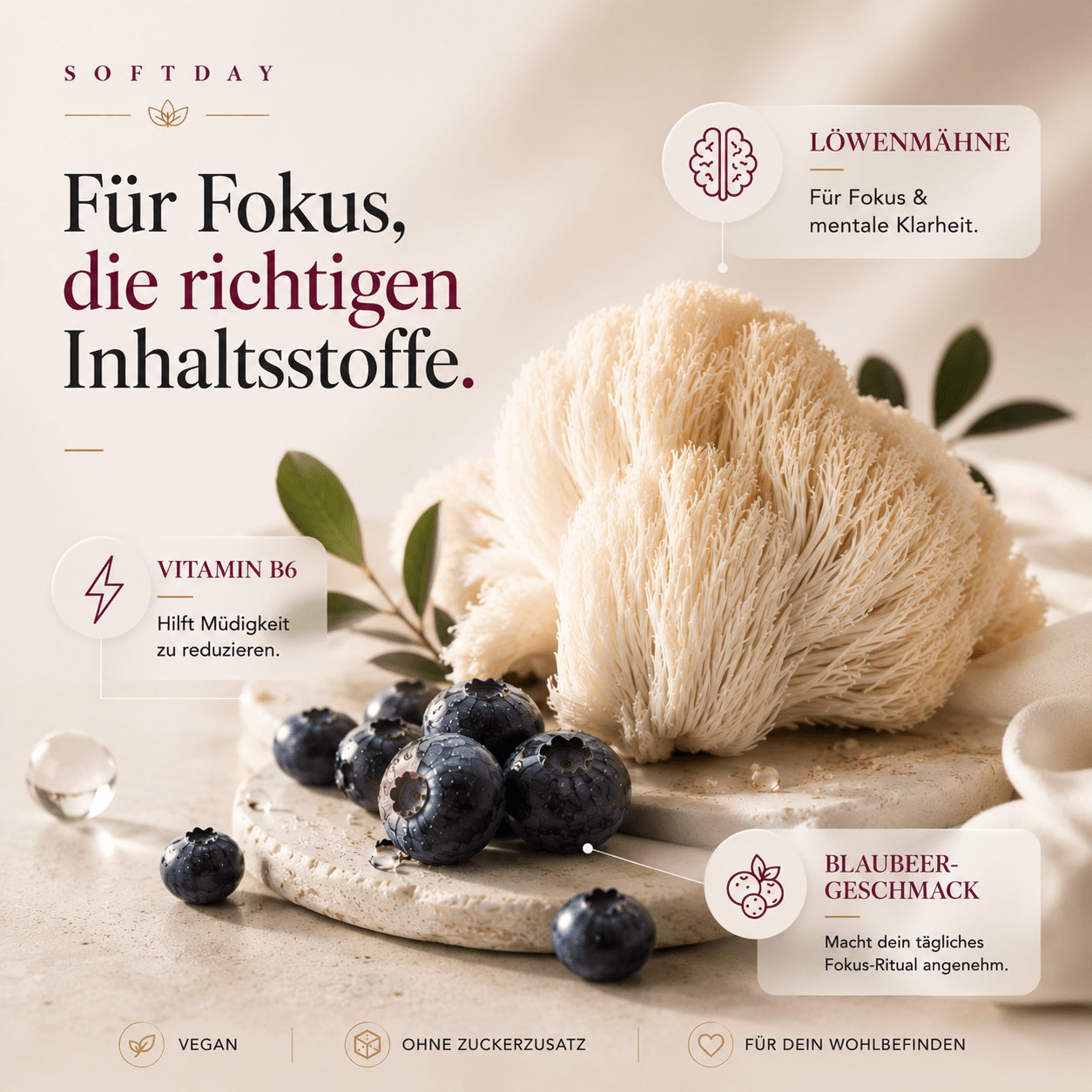 Die richtigen Inhaltsstoffe für den Alltag – Vitalpilz Hericium erinaceus mit Vitamin B6